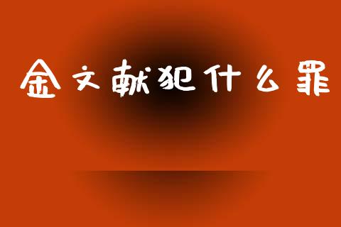 金文献犯什么罪_https://wap.kuaijiepai.net_财务风控_第1张