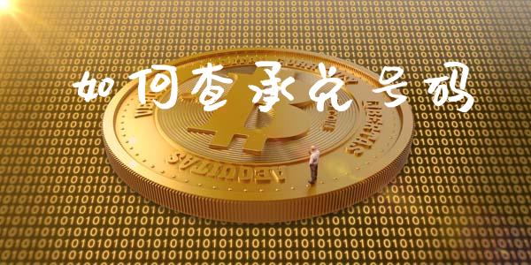 如何查承兑号码_https://wap.kuaijiepai.net_外汇交易_第1张