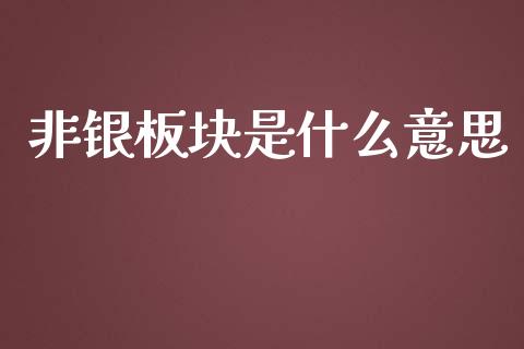 非银板块是什么意思_https://wap.kuaijiepai.net_财务风控_第1张