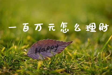 一百万元怎么理财_https://wap.kuaijiepai.net_财务风控_第1张