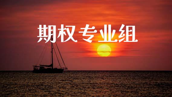 期权专业组_https://wap.kuaijiepai.net_金融科技_第1张