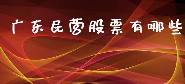 广东民营股票有哪些_https://wap.kuaijiepai.net_金融科技_第1张
