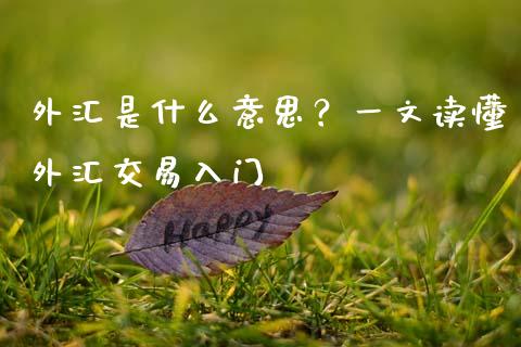 外汇是什么意思?一文读懂外汇交易入门_金融科技_第1张_金融科技_财务风控_外汇交易_财务咨询 外汇是什么意思?一文读懂外汇交易入门_https://wap.kuaijiepai.net_金融科技_第1张