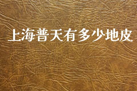 上海普天有多少地皮_https://wap.kuaijiepai.net_财务风控_第1张