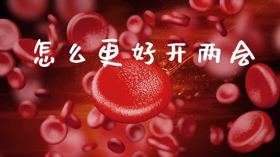 怎么更好开两会_https://wap.kuaijiepai.net_外汇交易_第1张