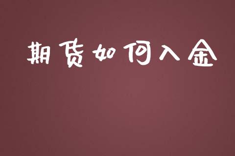 期货如何入金_https://wap.kuaijiepai.net_财务风控_第1张