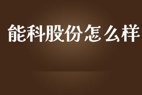 能科股份怎么样_https://wap.kuaijiepai.net_财务风控_第1张