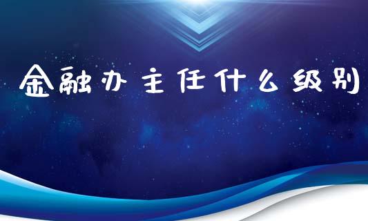 金融办主任什么级别_https://wap.kuaijiepai.net_财务风控_第1张
