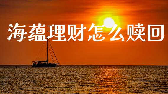 海蕴理财怎么赎回_https://wap.kuaijiepai.net_财务咨询_第1张