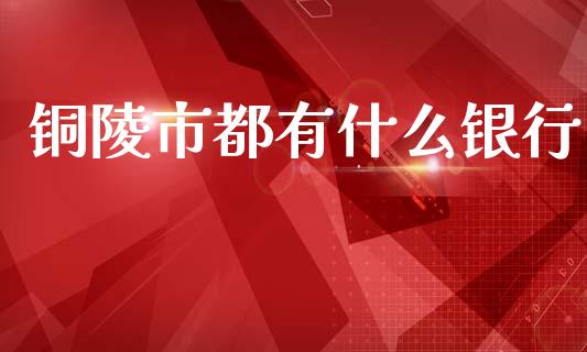 铜陵市都有什么银行_https://wap.kuaijiepai.net_财务风控_第1张
