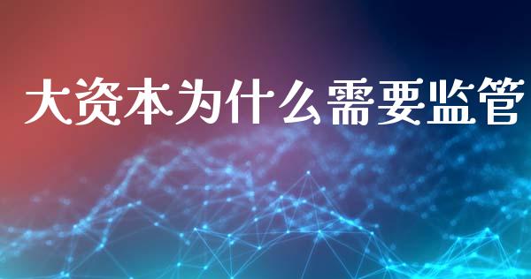 大资本为什么需要监管_https://wap.kuaijiepai.net_财务风控_第1张