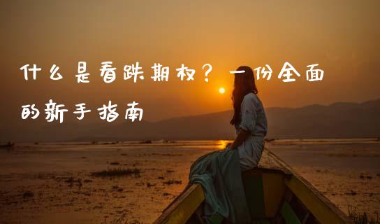 什么是看跌期权？一份全面的新手指南_https://wap.kuaijiepai.net_财务咨询_第1张