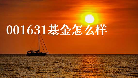 001631基金怎么样_https://wap.kuaijiepai.net_金融科技_第1张