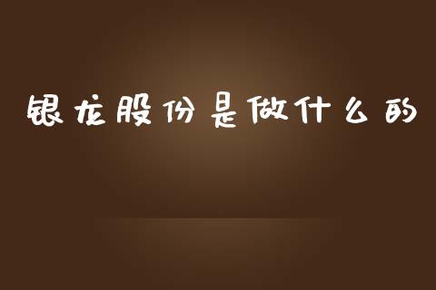 银龙股份是做什么的_https://wap.kuaijiepai.net_财务咨询_第1张