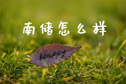 南储怎么样_https://wap.kuaijiepai.net_金融科技_第1张