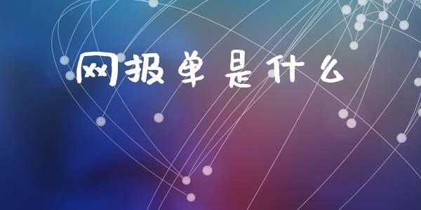 网报单是什么_https://wap.kuaijiepai.net_财务风控_第1张