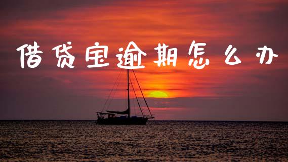 借贷宝逾期怎么办_https://wap.kuaijiepai.net_财务咨询_第1张