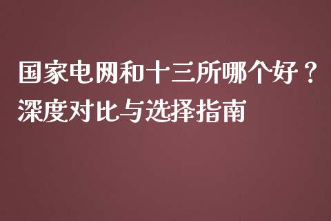 国家电网和十三所哪个好？深度对比与选择指南_https://wap.kuaijiepai.net_金融科技_第1张