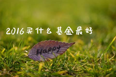 2016买什么基金最好_https://wap.kuaijiepai.net_金融科技_第1张