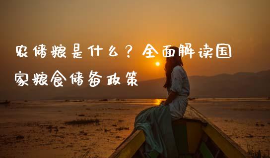 农储粮是什么？全面解读国家粮食储备政策_https://wap.kuaijiepai.net_财务咨询_第1张