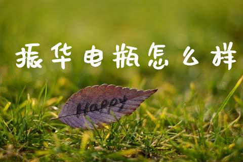 振华电瓶怎么样_https://wap.kuaijiepai.net_外汇交易_第1张