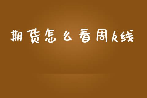 期货怎么看周k线_https://wap.kuaijiepai.net_外汇交易_第1张
