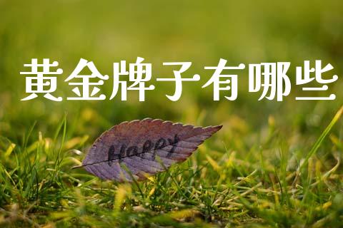 黄金牌子有哪些_财务风控_第1张_金融科技_财务风控_外汇交易_财务咨询 黄金牌子有哪些_https://wap.kuaijiepai.net_财务风控_第1张