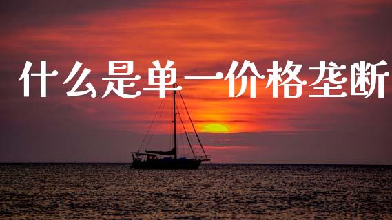什么是单一价格垄断_https://wap.kuaijiepai.net_财务风控_第1张