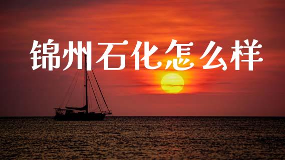 锦州石化怎么样_https://wap.kuaijiepai.net_财务咨询_第1张