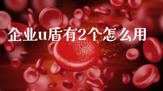 企业u盾有2个怎么用_https://wap.kuaijiepai.net_金融科技_第1张