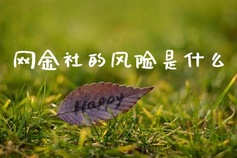 网金社的风险是什么_https://wap.kuaijiepai.net_外汇交易_第1张