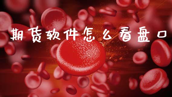 期货软件怎么看盘口_财务咨询_第1张_金融科技_财务风控_外汇交易_财务咨询 期货软件怎么看盘口_https://wap.kuaijiepai.net_财务咨询_第1张