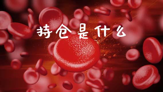 持仓是什么_https://wap.kuaijiepai.net_财务咨询_第1张
