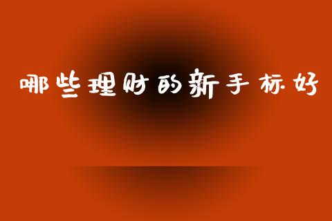 哪些理财的新手标好_https://wap.kuaijiepai.net_外汇交易_第1张