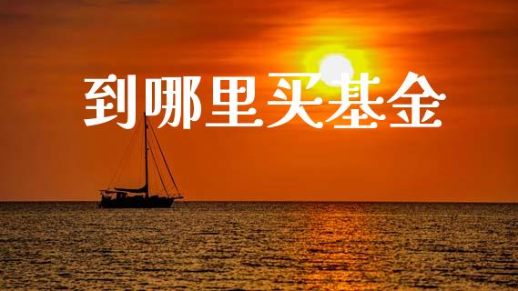 到哪里买基金_https://wap.kuaijiepai.net_财务风控_第1张