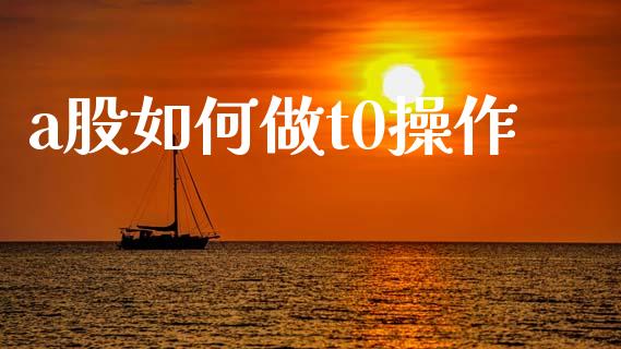 a股如何做t0操作_https://wap.kuaijiepai.net_财务风控_第1张