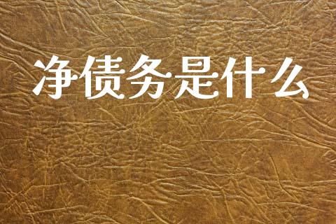 净债务是什么_https://wap.kuaijiepai.net_外汇交易_第1张