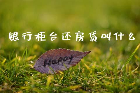 银行柜台还房贷叫什么_https://wap.kuaijiepai.net_财务咨询_第1张