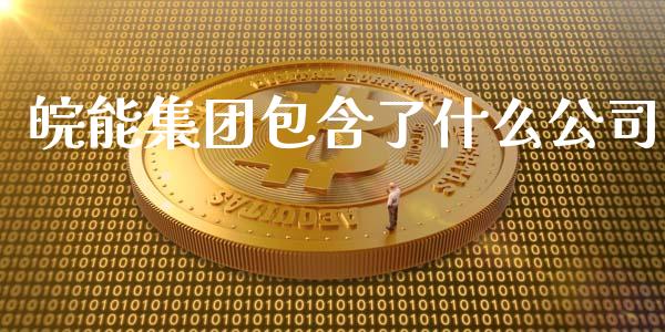 皖能集团包含了什么公司_https://wap.kuaijiepai.net_财务咨询_第1张