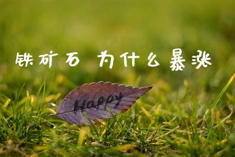 铁矿石 为什么暴涨_https://wap.kuaijiepai.net_财务咨询_第1张