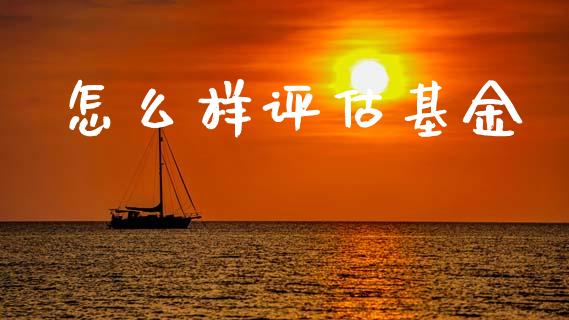 怎么样评估基金_https://wap.kuaijiepai.net_金融科技_第1张