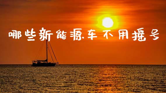 哪些新能源车不用摇号_https://wap.kuaijiepai.net_财务风控_第1张