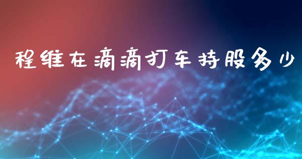 程维在滴滴打车持股多少_https://wap.kuaijiepai.net_财务风控_第1张