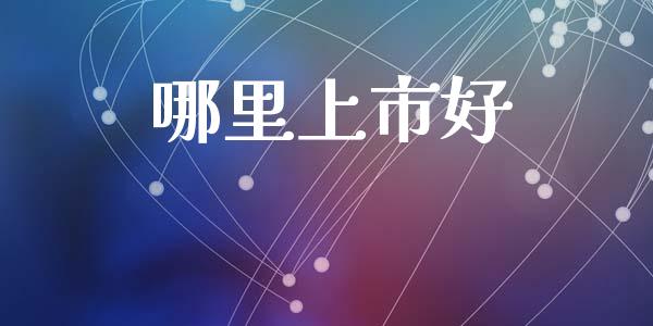 哪里上市好_https://wap.kuaijiepai.net_财务咨询_第1张