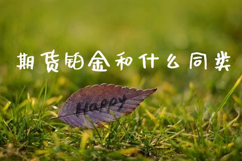 期货铂金和什么同类_https://wap.kuaijiepai.net_外汇交易_第1张