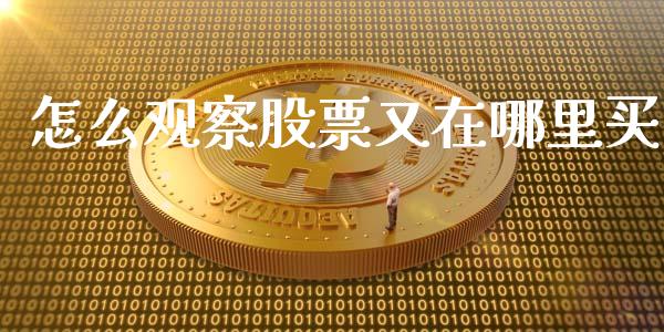 怎么观察股票又在哪里买_https://wap.kuaijiepai.net_财务风控_第1张