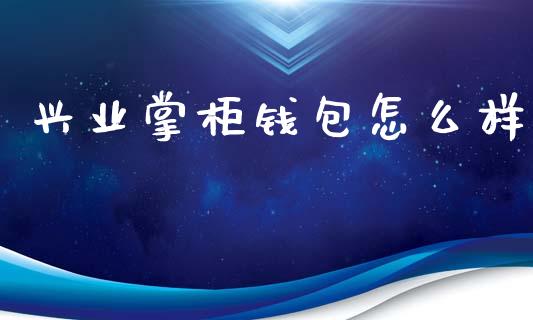 兴业掌柜钱包怎么样_https://wap.kuaijiepai.net_财务风控_第1张