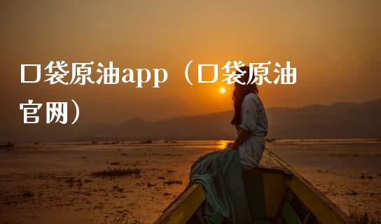 口袋原油app（口袋原油官网）_https://wap.kuaijiepai.net_财务风控_第1张