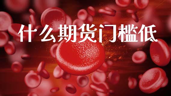 什么期货门槛低_https://wap.kuaijiepai.net_财务咨询_第1张
