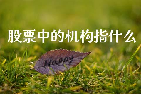 股票中的机构指什么_https://wap.kuaijiepai.net_财务风控_第1张